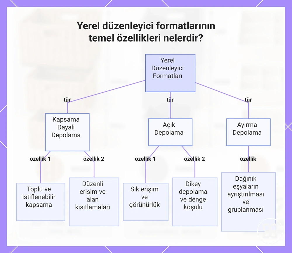 Yerel düzenleyici formatlarının temel özellikleri nelerdir?